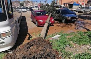 Mersin’de fırtına araç ve tarım arazilerine...