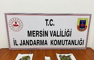 Mersin’de jandarmadan uyuşturucu operasyonu: 3...