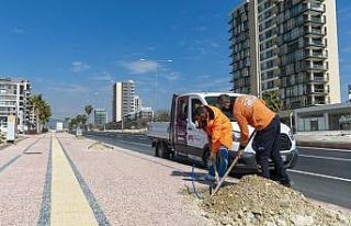 Mersin’de kaldırımları hem yeniliyor hem yeşillendiriliyor