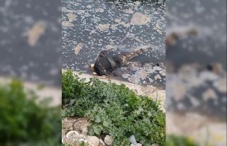 Mersin’de su kanalında erkek cesedi bulundu