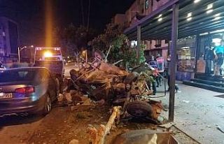Mersin’deki feci kazada baba ve oğlu hayatını...