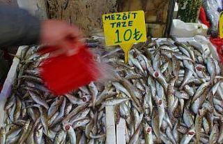 Mezgit 10 TL’lik fiyatıyla tezgahların fenomeni