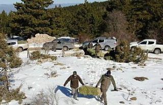 Mihalıççık dağlarındaki yaban hayvanlar unutulmadı