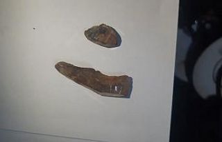 Milas’ta ele geçirildi Elmastan daha değerli