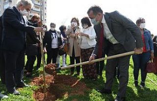 Mimozalar Yenişehir’de toprakla buluştu