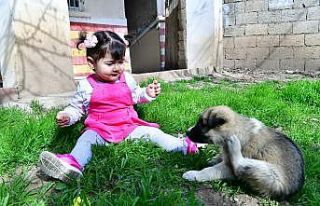 Minik Nisa’ya köpek hediyesi