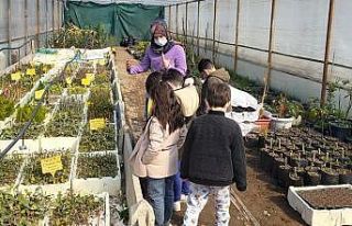 Minik öğrenciler toprakla buluştu