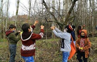 Minik öğrencilerin elmaları kuşlara hayat oluyor