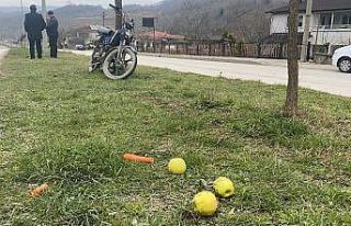 Mobilet karşıdan karşıya geçen yayaya çarptı:...