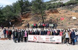 Muğla’da Mercan Hatıra Ormanı