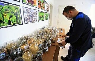 Muğla’nın tohumları Türkiye’nin topraklarıyla...