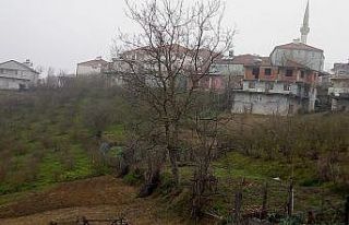 Muhtar 25 köylüyü icraya verdi