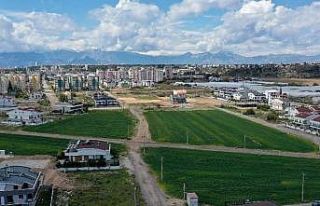 Muratpaşa’da 20 bin kilogram buğday hasat edilecek