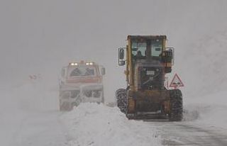 Muş-Kulp karayolu ulaşıma açıldı