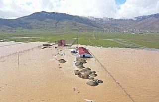 Muş’ta tarım arazileri ve hayvan çiftlikleri...