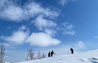 Muş’ta yaban hayvanlarına yem desteği
