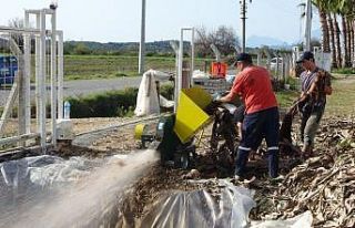 Muz serasının atıkları gübre olup yeniden seraya...