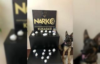 Narkotik köpeği Honaz uyuşturucuyu klozette buldu