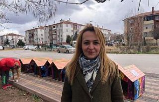 Nasreddin Hoca Parkı’na sokak hayvanları için...