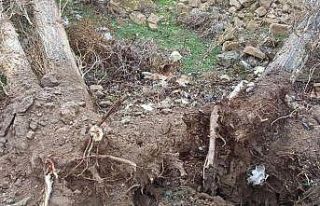 Nevşehir’de fırtına minarenin alemini uçurdu