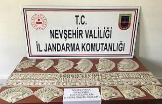Nevşehir’de sahte 15 bin dolar ele geçirildi