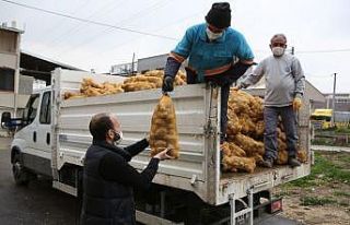 Nilüfer Belediyesi’nden patates üreticisine destek