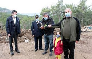 Nükleer Santral bölgesine yangına dayanaklı fidan