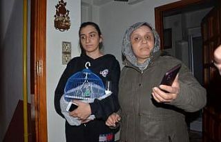 O mavişini, annesi evini düşündü