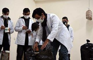 Öğrenciler okulun bodrumunda mantar yetiştiriyor