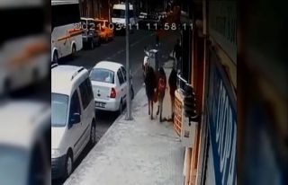 Öğrenciler üzerlerine düşen saksıdan kıl payı...
