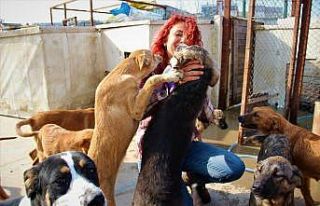 Öğretmen maaşını ve zamanını 300 dilsiz canın...