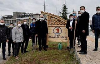 OMÜ Kurupelit Yerleşkesi ıhlamurlarla yeşillenecek