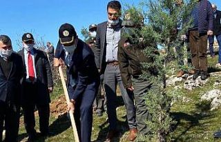 ‘Önce Vatan Tepesi’nde fidanlar toprakla buluştu