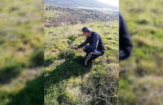 Onlarca fidanı toprakla buluşturdu