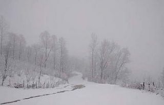 Ordu’da bahar ayında kar sürprizi