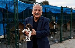 Ordu’da can dostlar için modern hastane