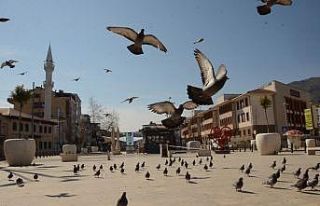 Ordu’da korona virüs sessizliği