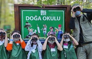 Ormanya, cumartesi günleri de açık