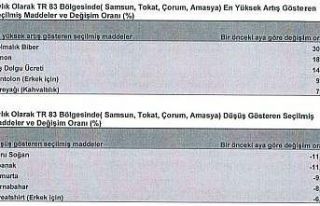 Orta Karadeniz’de en çok dolmalık biberin fiyatı...