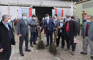 Osmaniye’de çiftçilere ceviz fidanı dağıtıldı