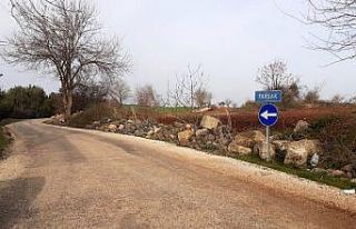 Osmaniye’de pes dedirten hırsızlık, trafik işaret...