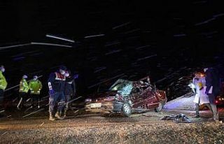 Otomobil kamyonete arkadan çarptı:1 ölü, 1 yaralı