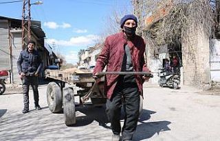 (Özel) Asırlık çınarlar 15 yıldır at arabası...