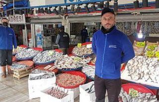 (Özel) Balık tezgâhlarında balık bolluğu