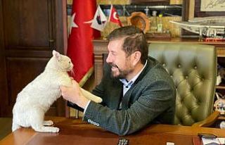 (Özel) Başkanın makamında sevimli bir maskot