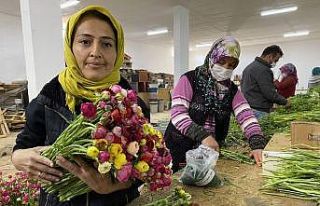 (ÖZEL) Cebinde getirdiği hediye tohumla Antalya’da...