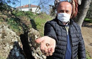 (Özel) Çocuğu olmayanlar kayanın etrafında dönüp...