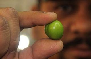 (Özel) Eriğin fiyatı pastırmayı geçti