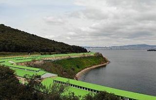 (Özel) İBB Adalar’da 100’e yakın atı ahıra...