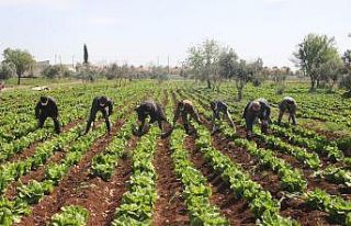 (Özel) Sınır kentinde korona tedbirleri arttırılıyor